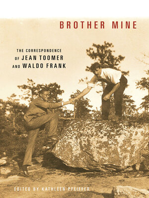 cover image of Brother Mine